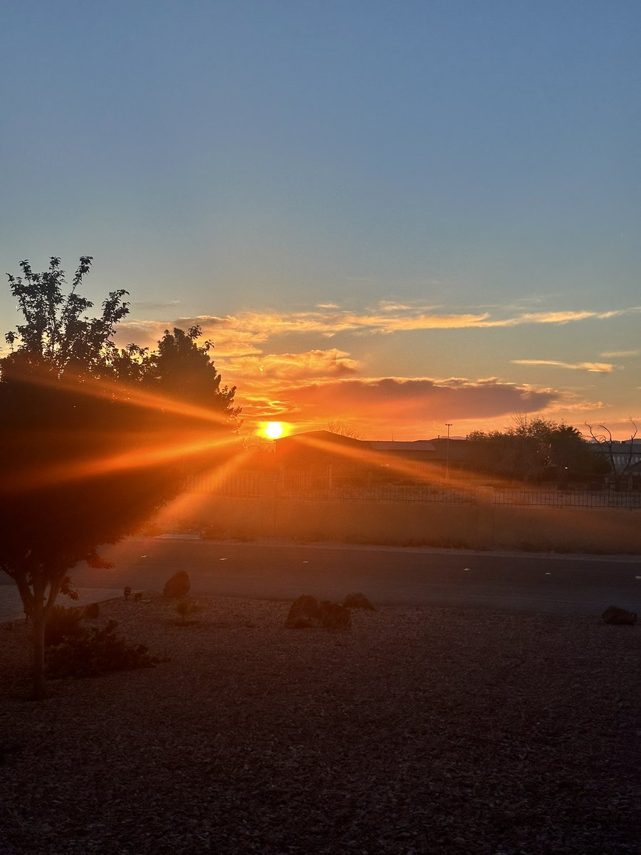 Joe Salave'a tweet media