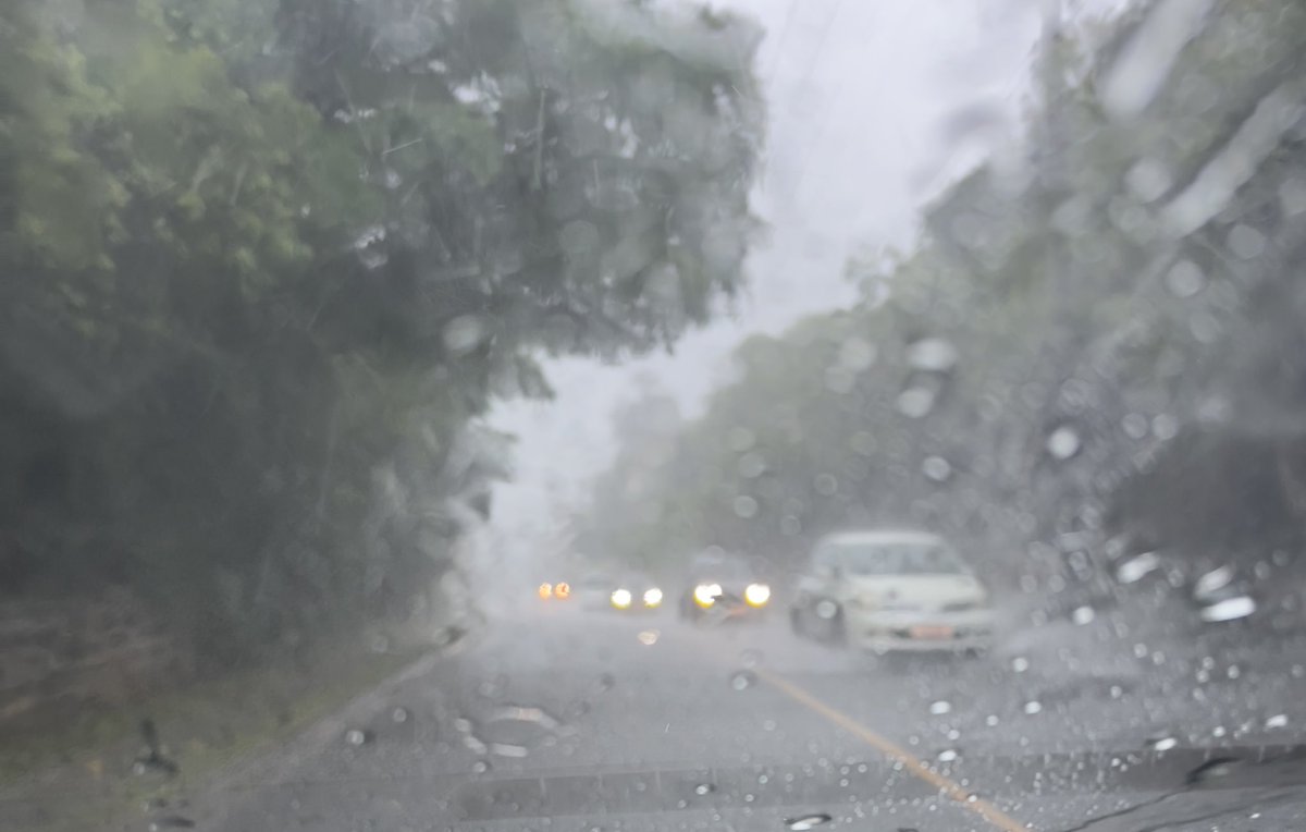 Bermuda Police Service tweet media