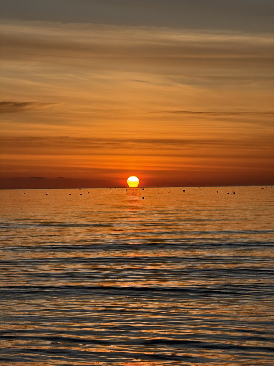 Jonathan Shaw tweet media