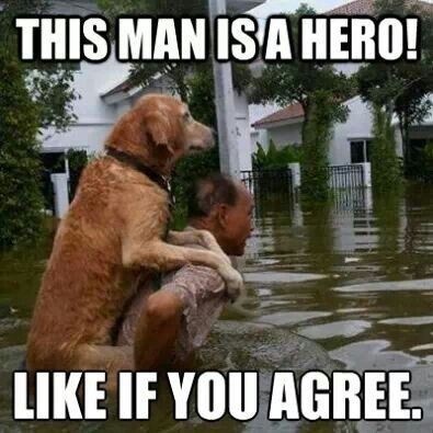 Pawzazzle's tweet image. 