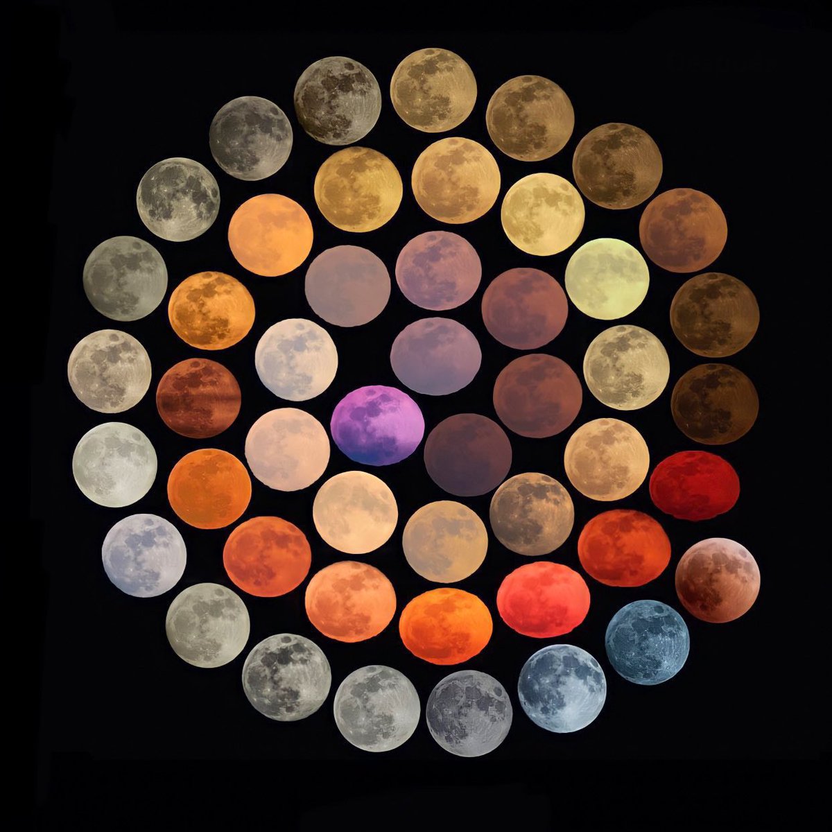 moonloverxjpg's tweet photo. la luna en 48 colores https://t.co/qoXkGNwLYe