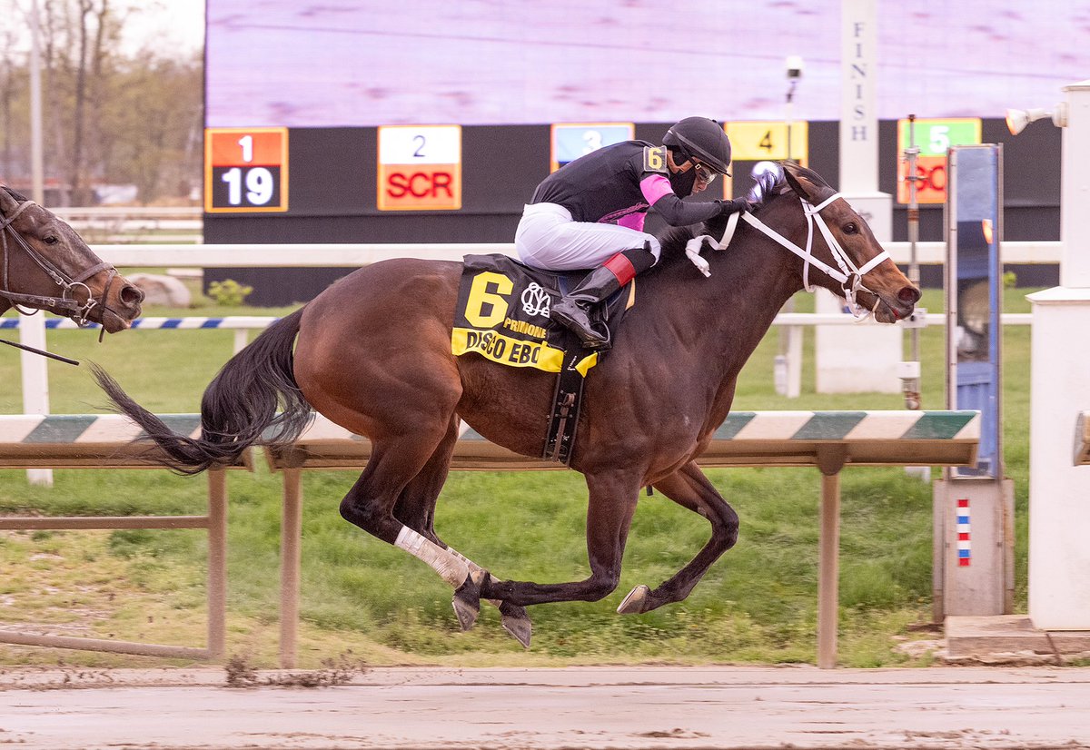 Maryland Horsemen (@mdhorsemen) on Twitter photo Back-to-back stakes wins for jockey <a href="/SanchezMychel/">Mychel Sanchez</a> as Disco Ebo holds off Tipple to capture 6F Primonetta <a href="/LaurelPark/">The Maryland Jockey Club, Inc.</a>. 13th win in 32 starts for 6YO <a href="/PA_PHBA/">PA Bred</a> Weigelia mare trained by Butch Reid for LC Racing. (Jim McCue 📷) Back-to-back stakes wins for jockey <a href="/SanchezMychel/">Mychel Sanchez</a> as Disco Ebo holds off Tipple to capture 6F Primonetta <a href="/LaurelPark/">The Maryland Jockey Club, Inc.</a>. 13th win in 32 starts for 6YO <a href="/PA_PHBA/">PA Bred</a> Weigelia mare trained by Butch Reid for LC Racing. (Jim McCue 📷)
