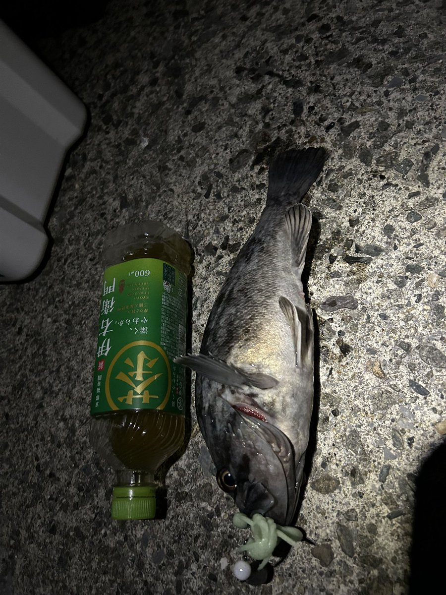 太郎＠函館釣り tweet media