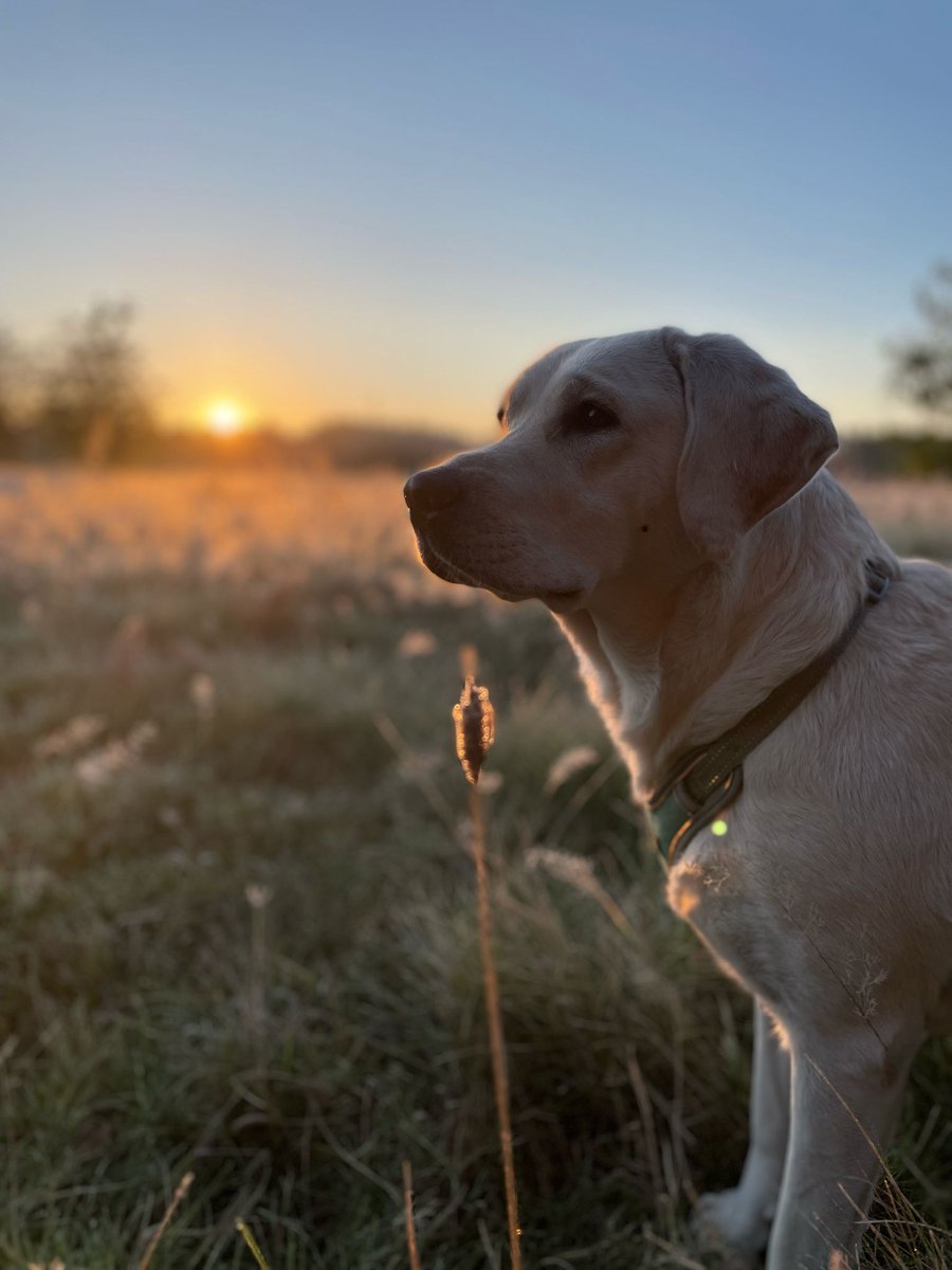 Mateusz Grzeszczuk - Podróż bez Paszportu tweet media