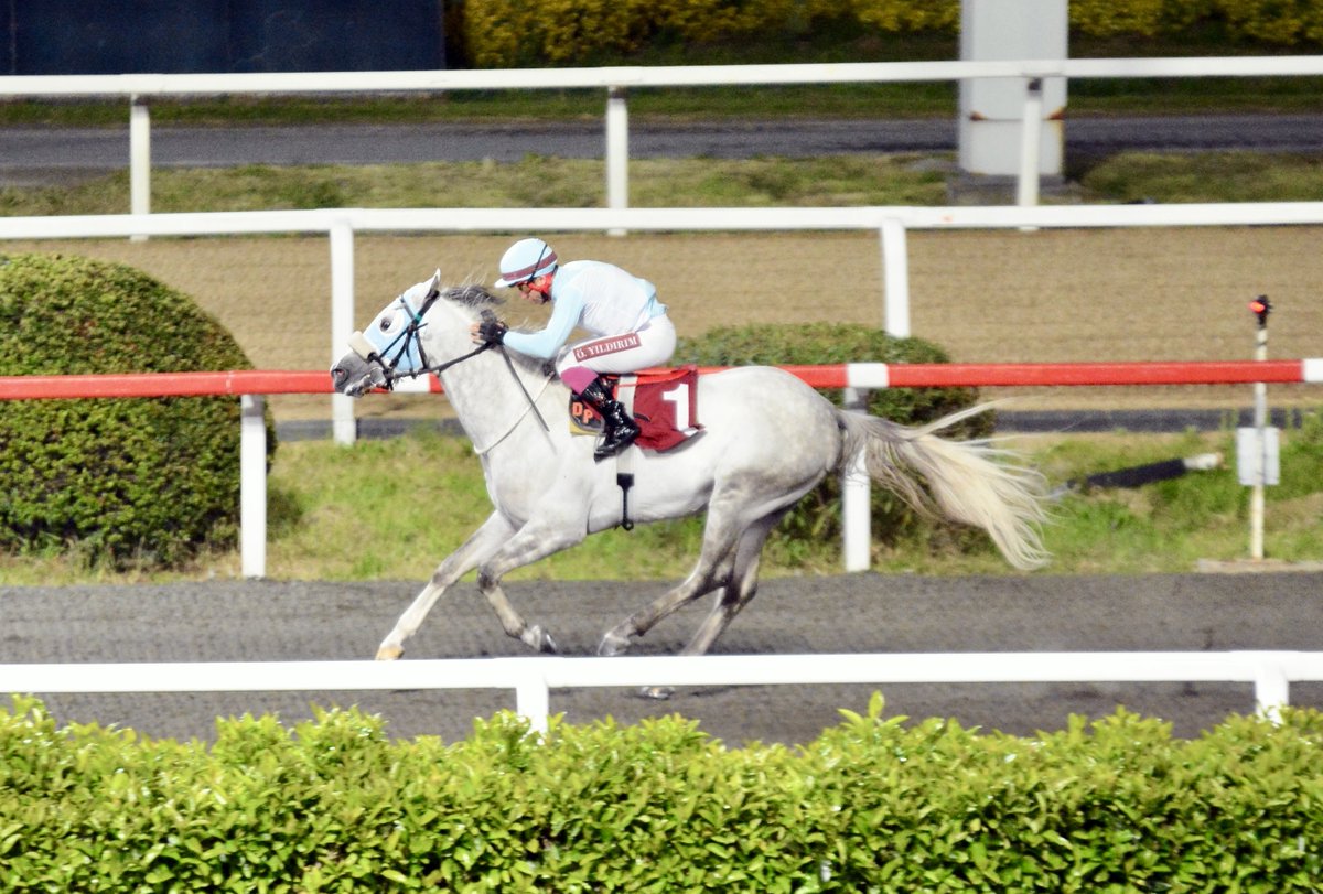 Türk Kalp Vakfı Koşusu’nda birinciliğe Eraykan uzandı 

tjk.org/TR/YarisSever/…
