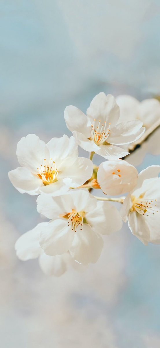 “”Don't be surprised at Fortune's turns and twists: That wheel has spun a thousand yarns before..””

—Hafez—

📸 Web