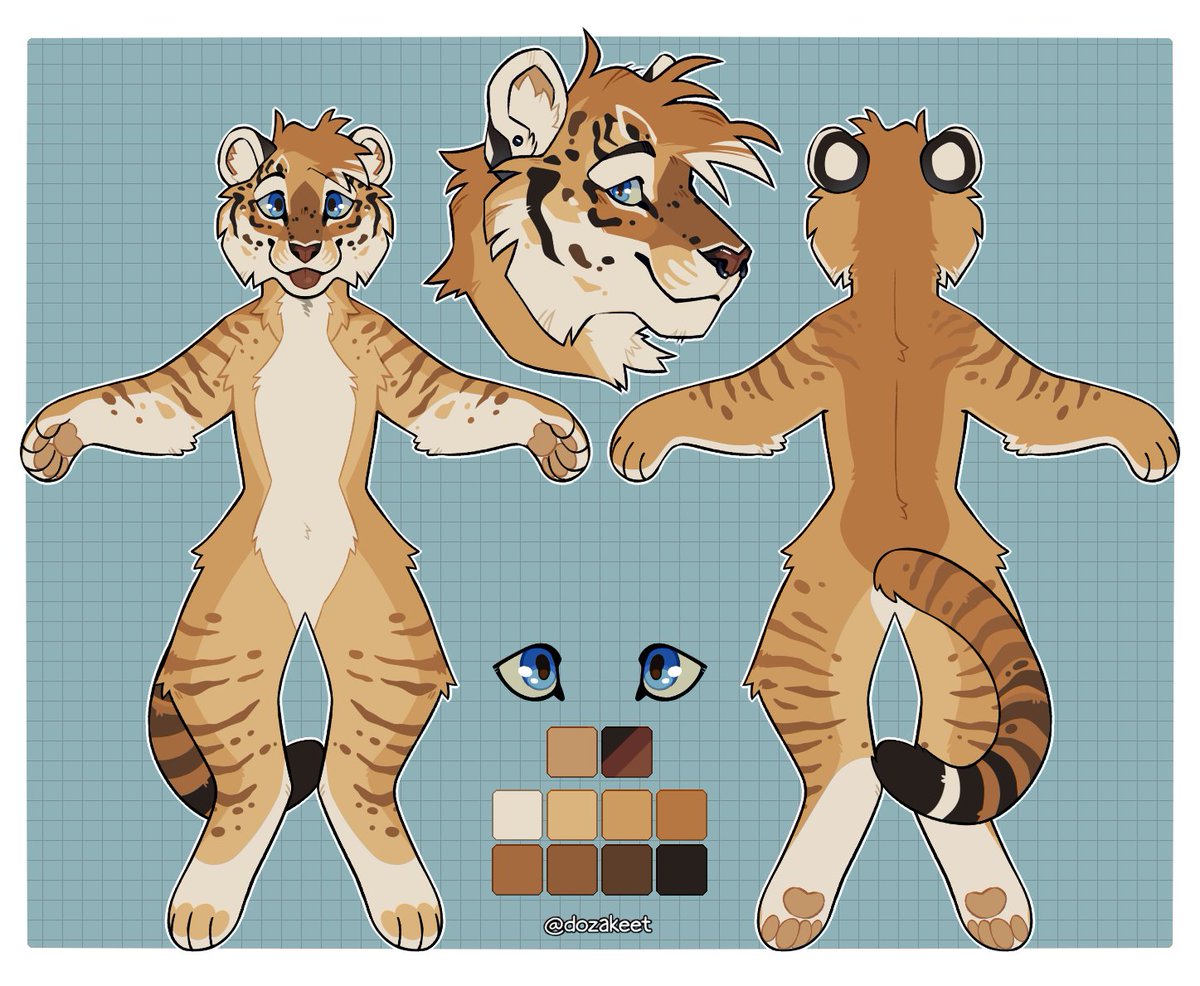 Liger mini ref for <a href="/harvesthound_/">Ashleigh</a> ! 🦁🐯💙