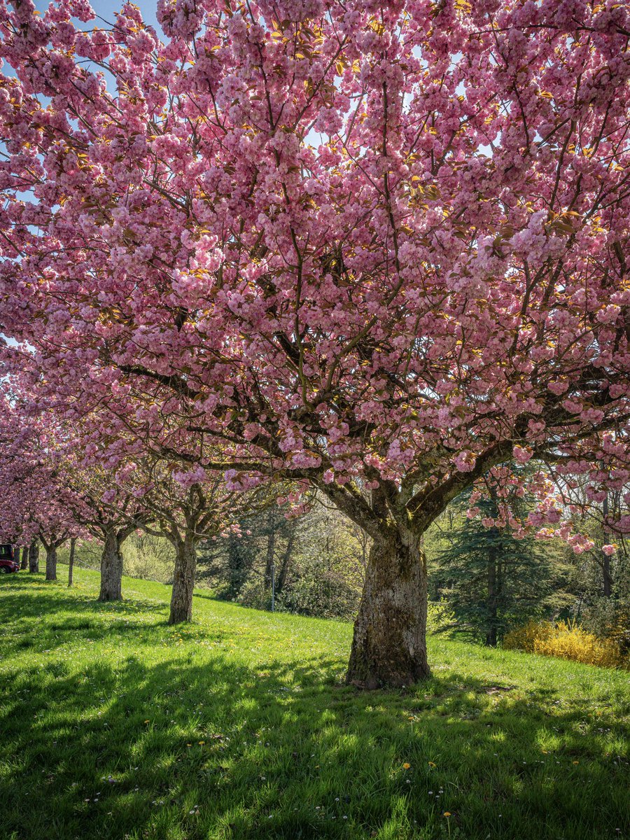 Cédrιc tweet media