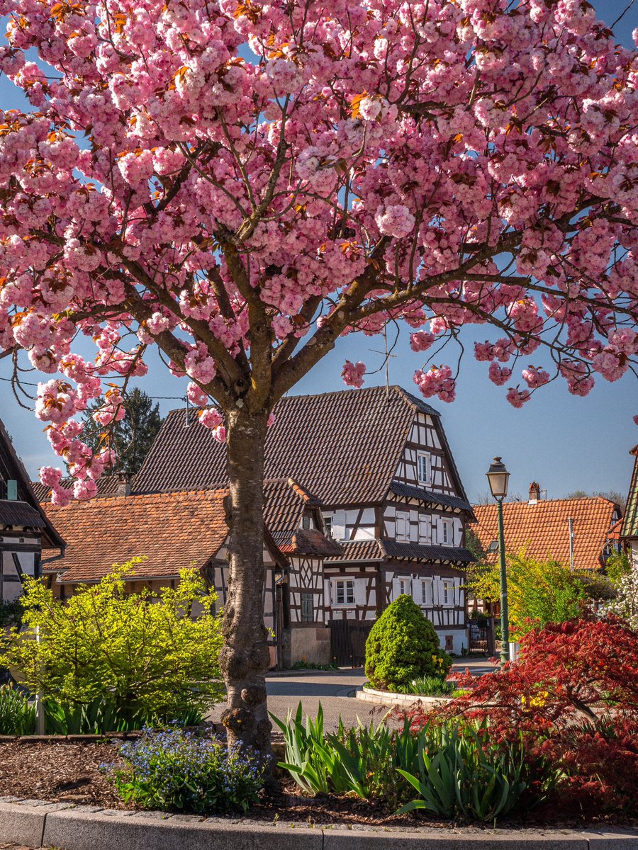 Cédrιc tweet media