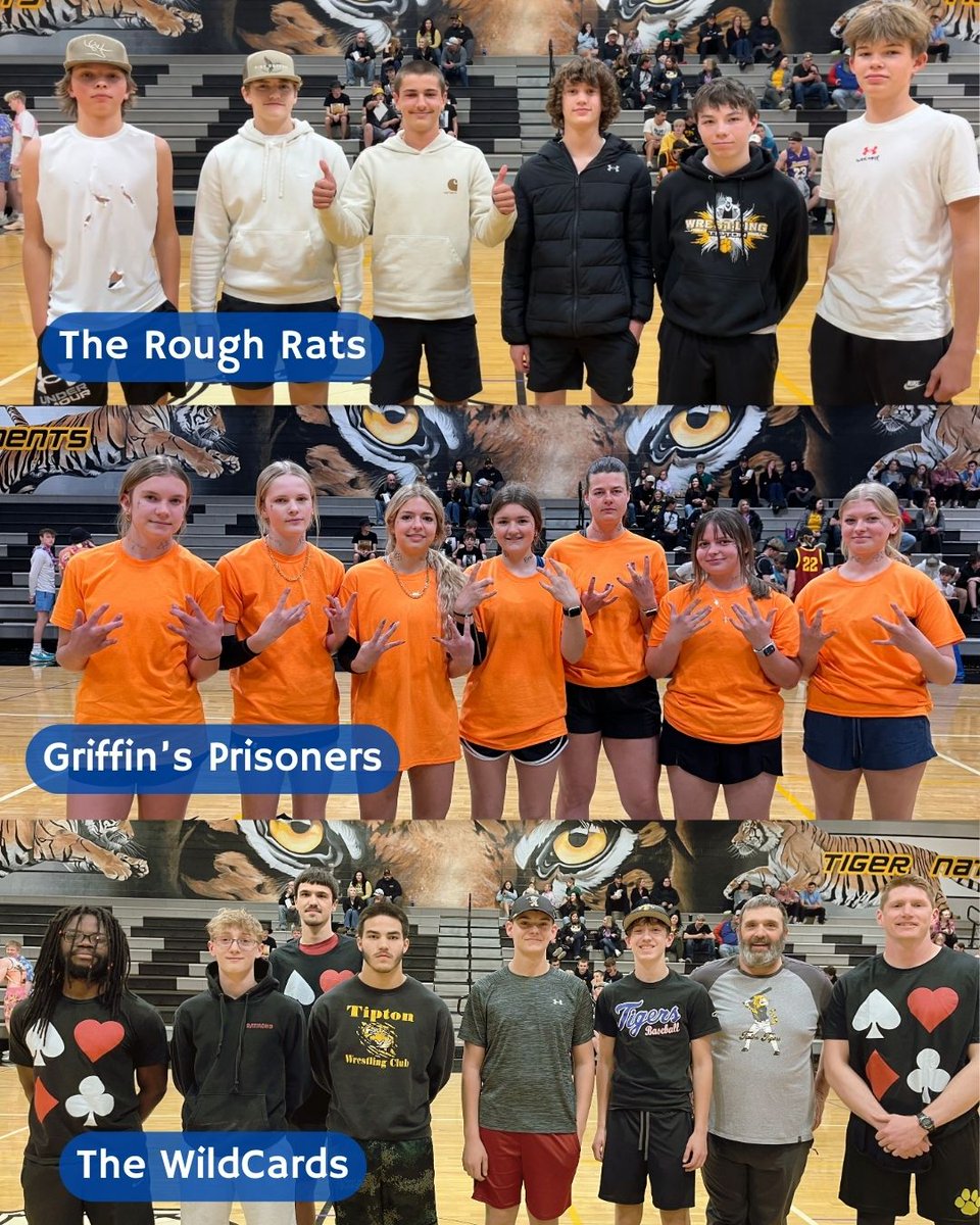 TiptonBaseball's tweet image. Thanks to all who participated, helped, &amp;amp; attended  Dodgeball on Friday. Lots of fun &amp;amp; great way to support Tiger Baseball. Congrats to everyone who made it through the night with shoulders still in working order!