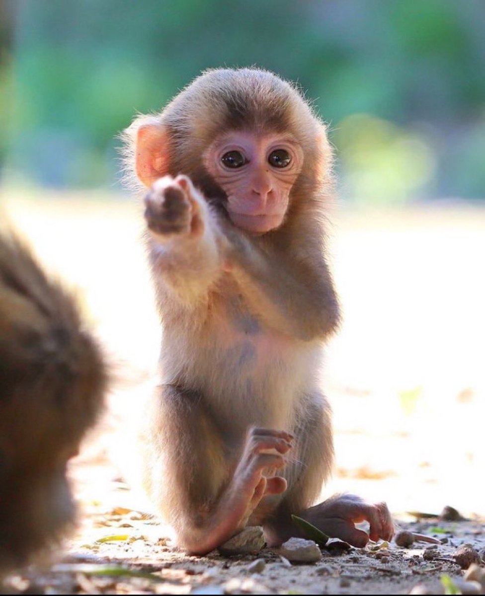 ggs Cumberland won 3-0 was a fun series