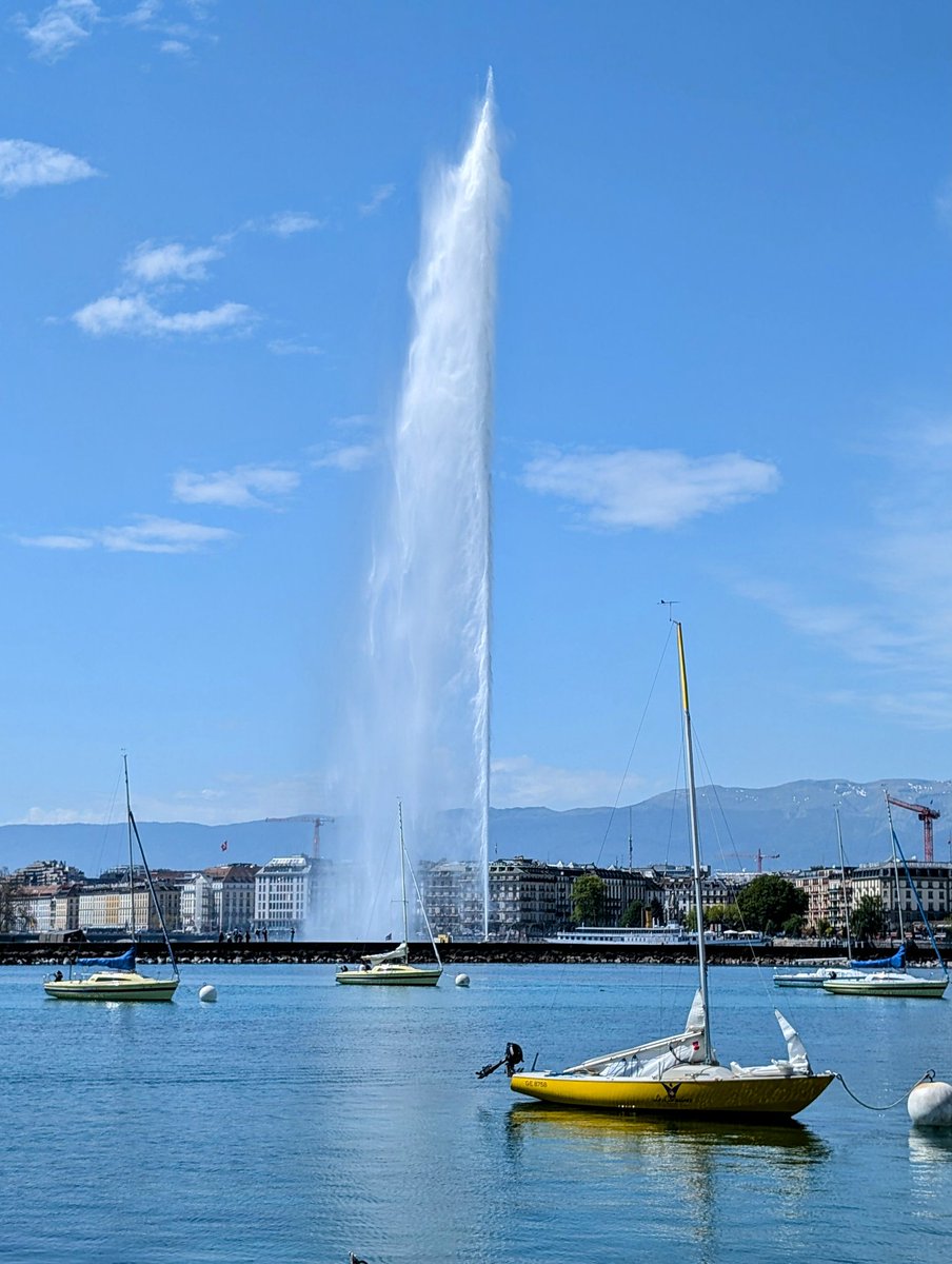 We just experienced the most chaotic week in markets since 2020.

Pure carnage across all asset classes.

And Bitcoin bottomed at $75K. A price that many of us were dreaming of just 5 years ago during the covid panic.

Now we're back at $85K as both the Fed and Trump have made it