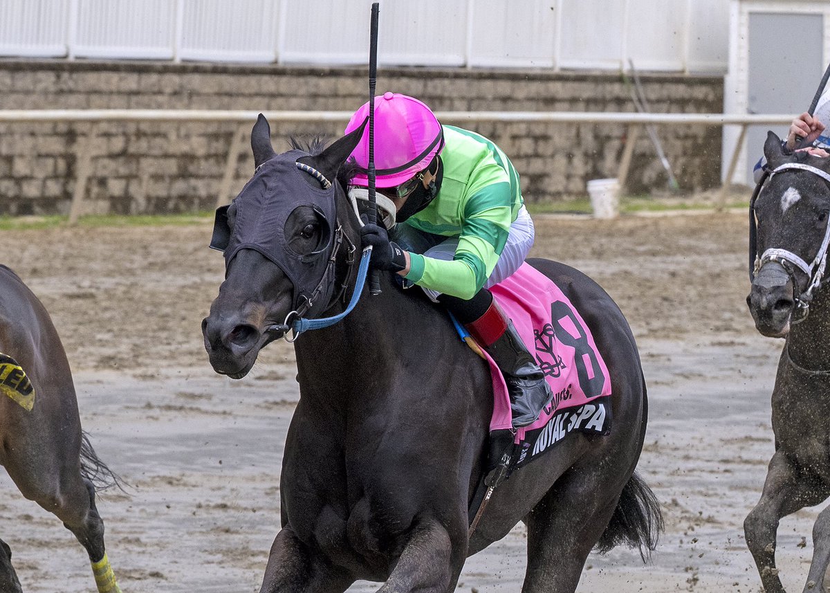 Maryland Horsemen (@mdhorsemen) on Twitter photo Royal Spa, on lead for much of the one mile Heavenly Cause S. <a href="/LaurelPark/">The Maryland Jockey Club, Inc.</a>, fights off stretch challenges to win under <a href="/SanchezMychel/">Mychel Sanchez</a> for trainer <a href="/BrissetRodolphe/">rodolphe brisset</a>. 5YO Violence mare bred/owned by Breffni Farm. (Jerry D. 📷) Royal Spa, on lead for much of the one mile Heavenly Cause S. <a href="/LaurelPark/">The Maryland Jockey Club, Inc.</a>, fights off stretch challenges to win under <a href="/SanchezMychel/">Mychel Sanchez</a> for trainer <a href="/BrissetRodolphe/">rodolphe brisset</a>. 5YO Violence mare bred/owned by Breffni Farm. (Jerry D. 📷)