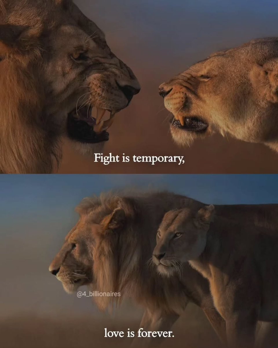 Mind Essentials (@mind_essentials) on Twitter photo 