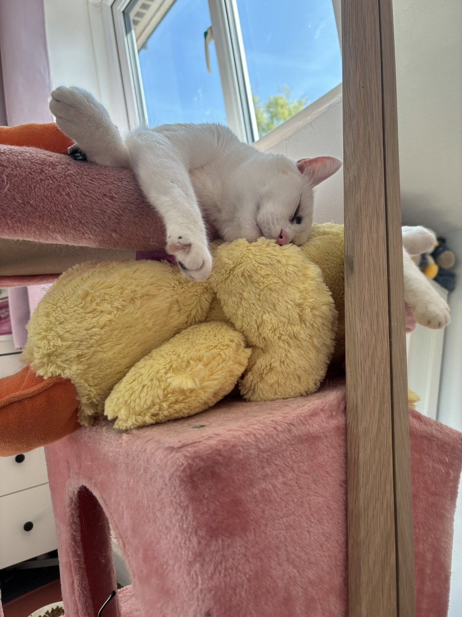 simi🍒 tweet media