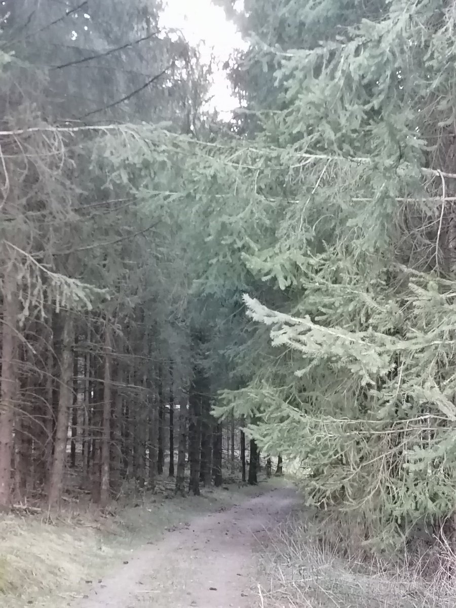Jaoderja's tweet photo. #Sauerland 🇩🇪 #OnMyWay #myphoto 🖤 https://t.co/8MDl0Lsx0n