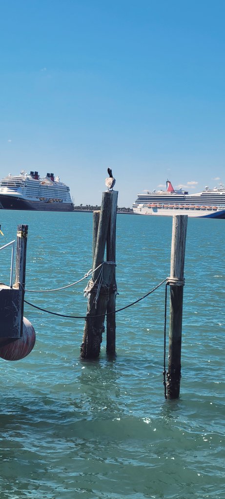 Spring is definitely in the air today... at Rusty's at the Port!!😎👍🌅🚢🌴🍹#boatlife #portlife #decklife #rustyspeeps #rustysfam #rustysseafood #portcanaveral