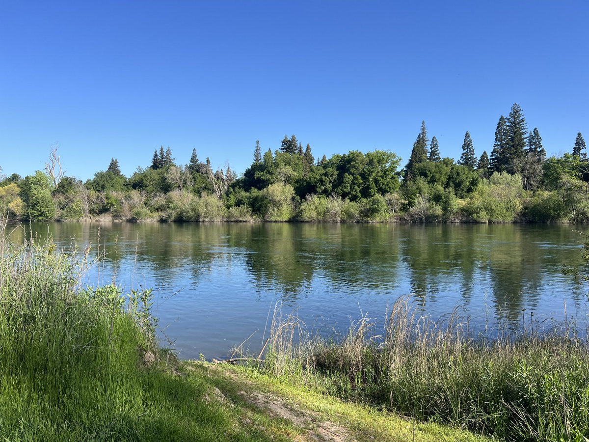 #TeamAshby joined <a href="/arpfsac/">ARPF</a> this morning for their Spring Clean-Up! Volunteers helped clean the beautiful American River Parkway across 8 different locations in honor of Earth Month, helping protect the river ecosystem and improve water quality throughout and beyond #SD8.