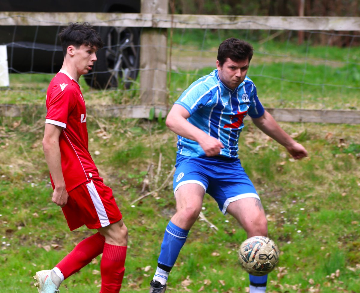 Andrew Rees tweet media