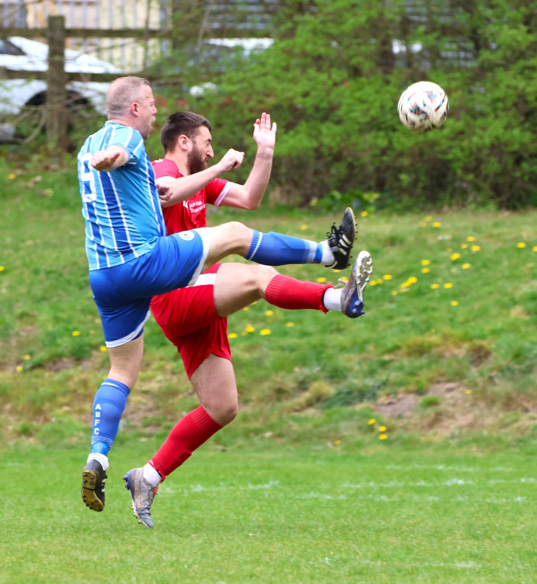 Andrew Rees tweet media