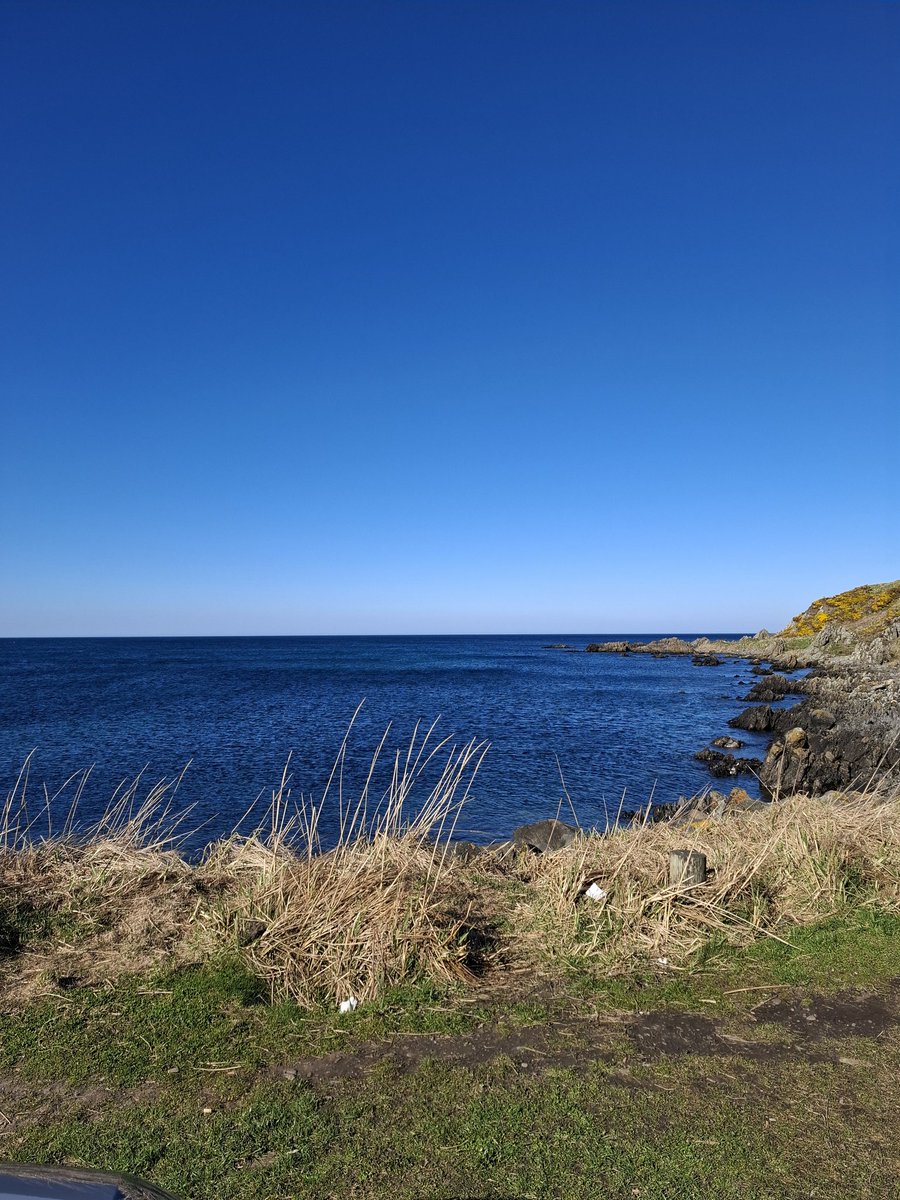 I have decided to leave Twitter..
I am embracing change, and less social media is one.