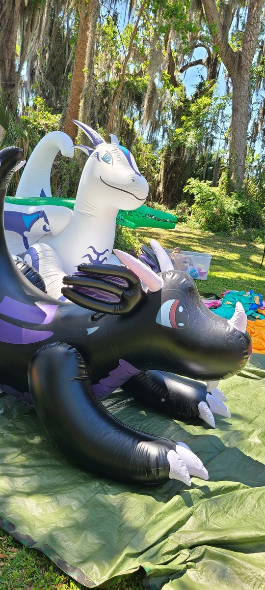 realTMDrake's tweet image. Rawr