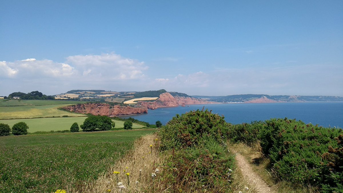 Jade Reeves tweet media