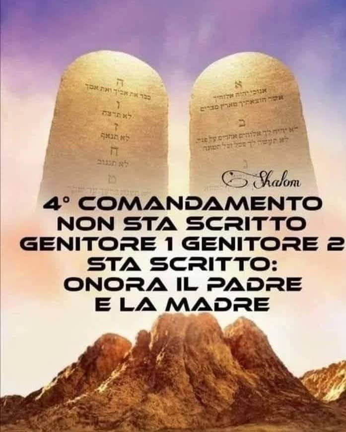 4° Comandamento:
"ONORA IL PADRE
E LA MADRE".

Fottetevi luridi sinistri, l'inferno vi aspetta.