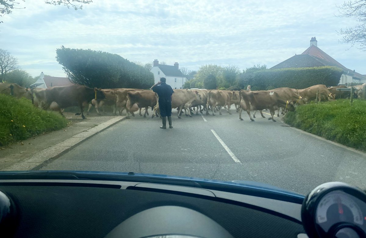 Road block, #JerseyCI style