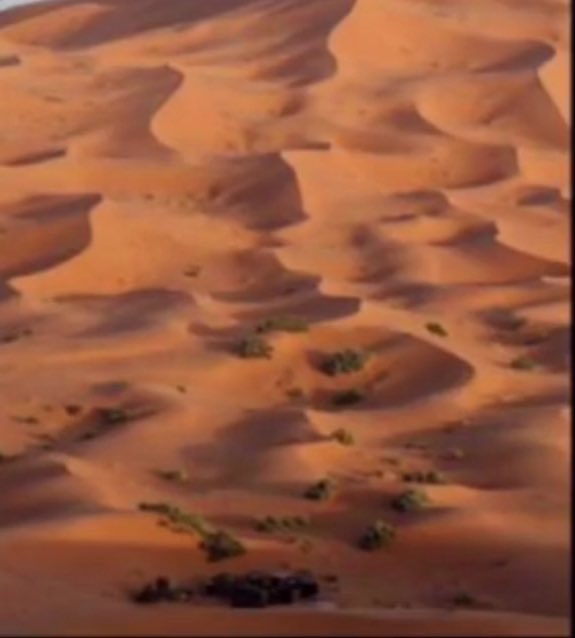 حنايا نحر زين الوصايف نحيل العود
سوافي نفودٍ لاهب القيض راسمها .

ومن زاوية اُخرى:

دلني لا همت في نحرك وضيعت القلادة
كيف ادور سبحةٍ ضيعتها في ربع خالي .