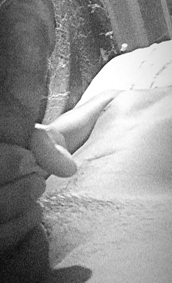 urboii_kurt's tweet photo. Just trimmed the goods, leaving a little tease before sleep. Hope this keeps you busy tonight.
#JakolTime #BagetsBooking #bagetsdaks #bagetsalter #jakulero #BagetsDaks #bagetsbooking #BagetsForHire #OpenForBooking #BagetsService #SarapMagJakol #bagetsdaks #bagetsalter #jakulero https://t.co/93OG9NoBtr
