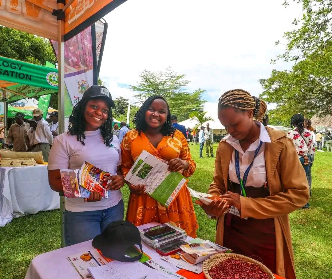 HarvestPlusZim's tweet photo. Wrapping up at the Genetic Innovations #Expo 2025! Thrilled to share how #biofortified crops like Vitamin A maize, Vitamin A orange sweet potatoes, Jasmine beans &amp; NUA45 beans are combating hidden hunger together! 🌽🍠👨🏿‍🌾 Thanks to @zpba_official &amp; @MoLAFWRD_Zim for having us. https://t.co/nVKRhikjEA
