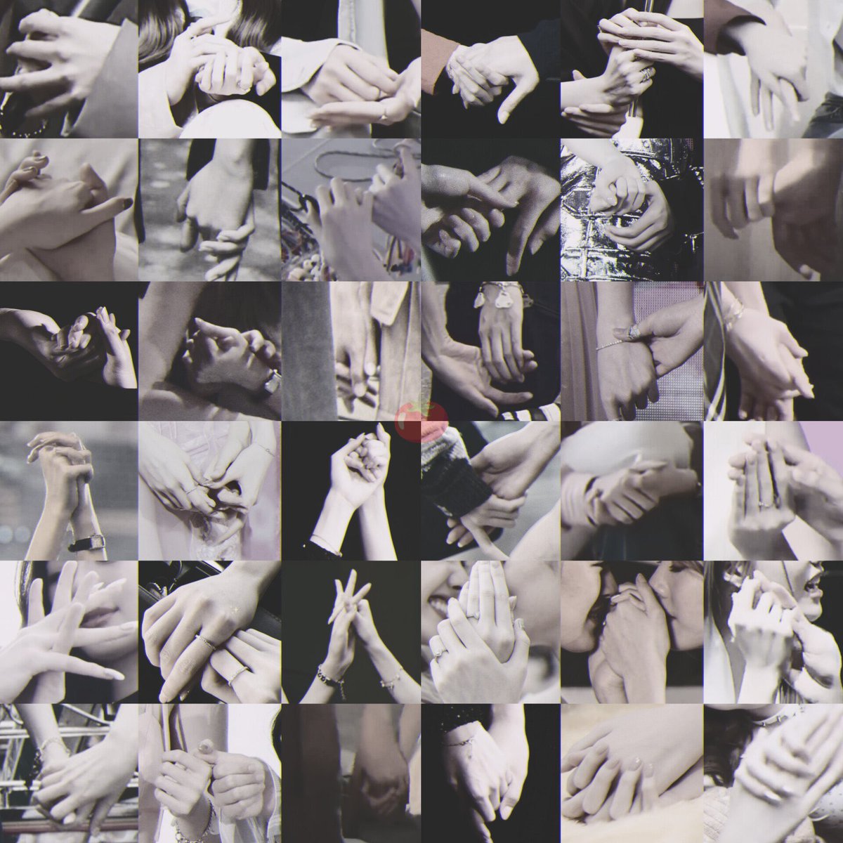 Kat K.💜🍳🦮 tweet media