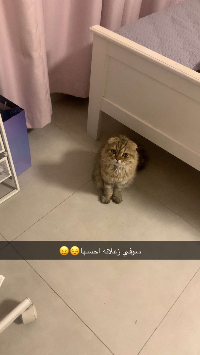 جبته يسليني زادني اكتئاب 🧍🏻‍♀️