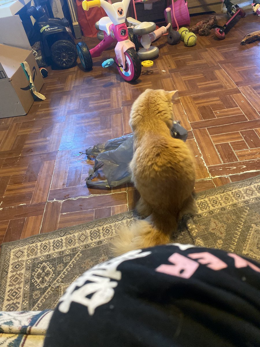 My weekend is full of pet sitting for my aunt and cousin.. I have no personal space 😂