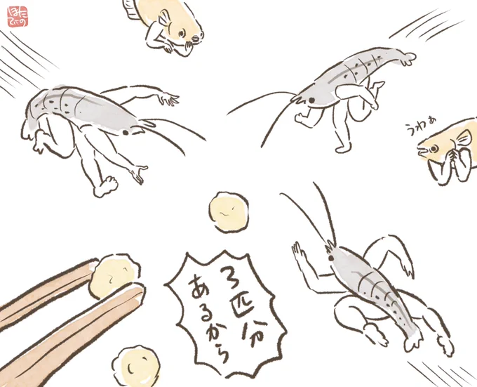 ヌマエビちゃんず、エサを水に入れた途端どこからともなく猛スピードでやってくるから嗅覚とかすごいのかなぁ…
ちゃんと3匹分エサあるんですけど周りのメダカたちが引くぐらい激しい争奪戦をしようとするんですよね。
時々メダカもそこに参戦するのですけど 
