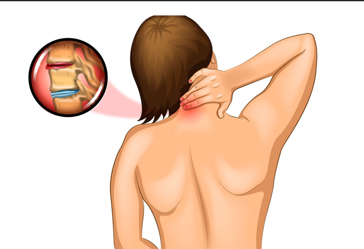 jaimylepaquet tweet media