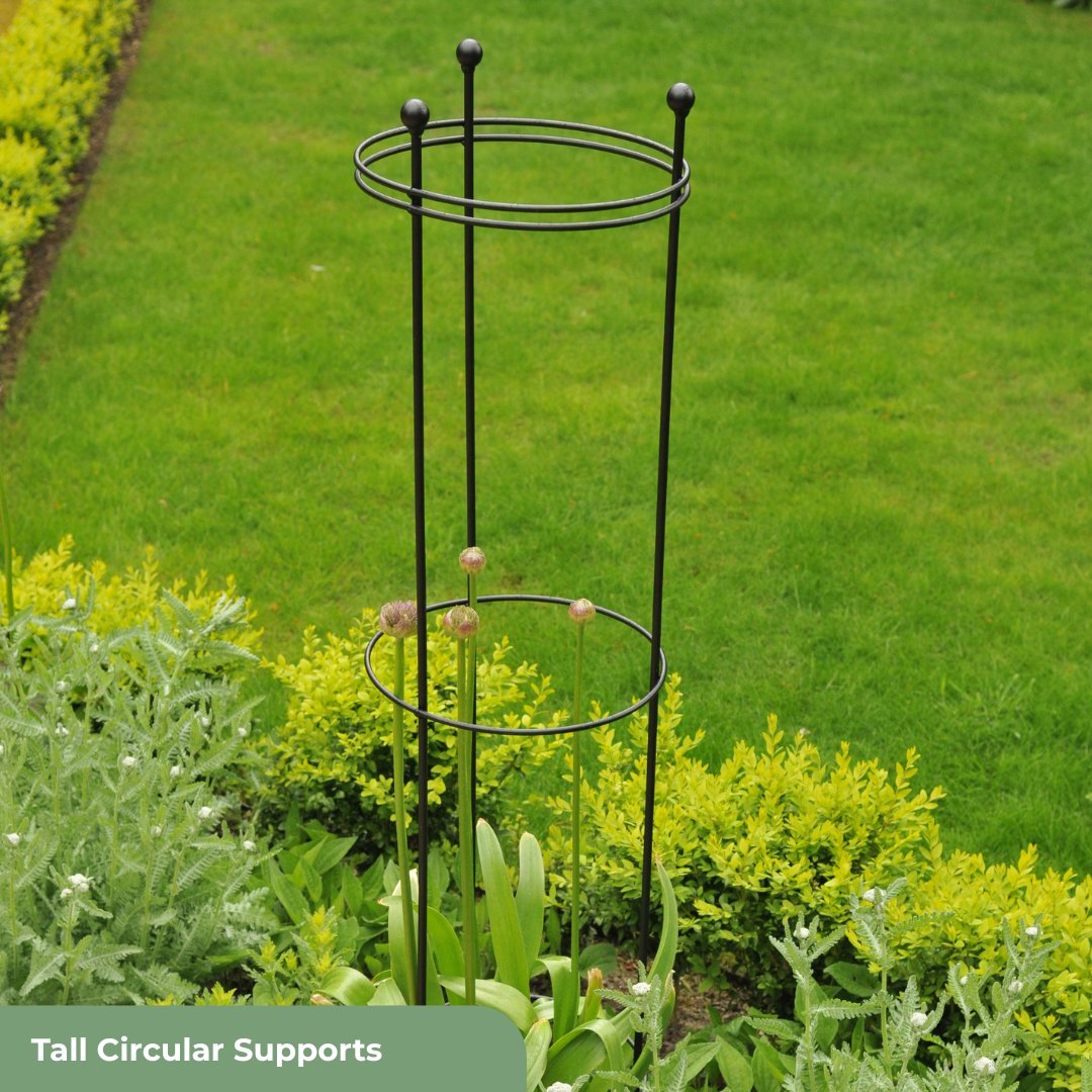 HarrodHort's tweet photo. Supports that are made to be seen 🌸

Our plant supports are designed to offer strength and structure without compromising on style. https://t.co/lD4pkZAx08