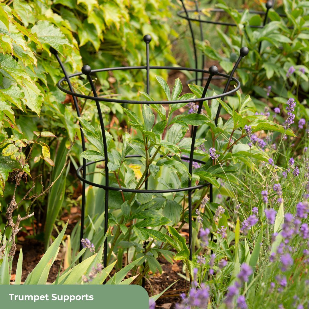 Supports that are made to be seen 🌸

Our plant supports are designed to offer strength and structure without compromising on style.