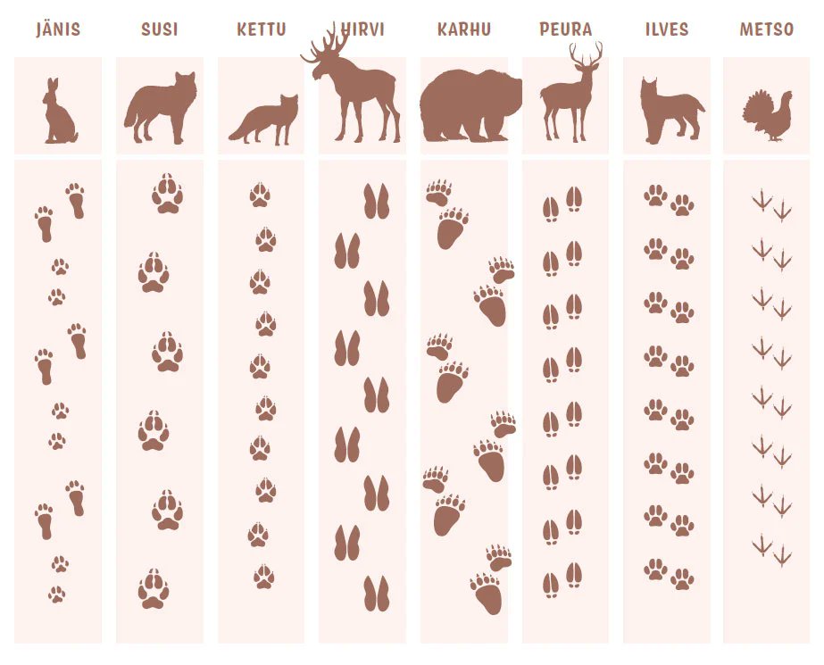 Merja Rehn tweet media
