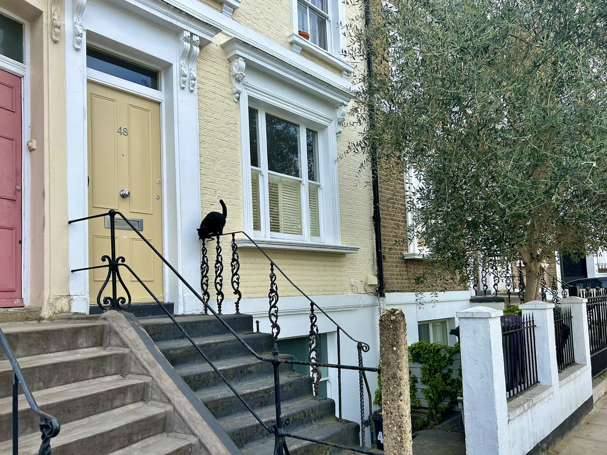___ki_uk's tweet photo. 黒猫！と思って写真撮ってたらめっちゃ近づいてきた。イギリスの猫って人懐っこくない…？🐈‍⬛ https://t.co/a1uMM6s6nz