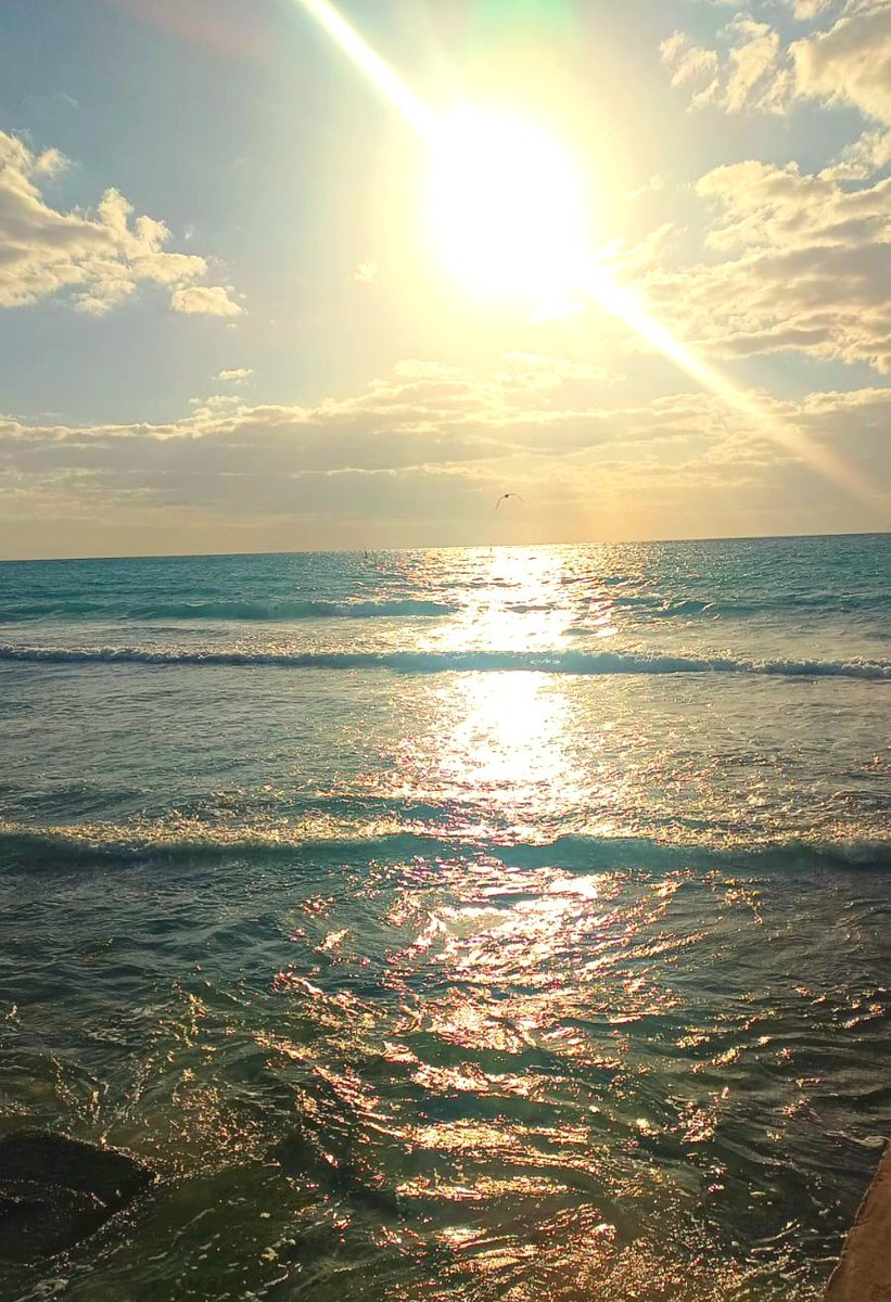 ☀️✨️