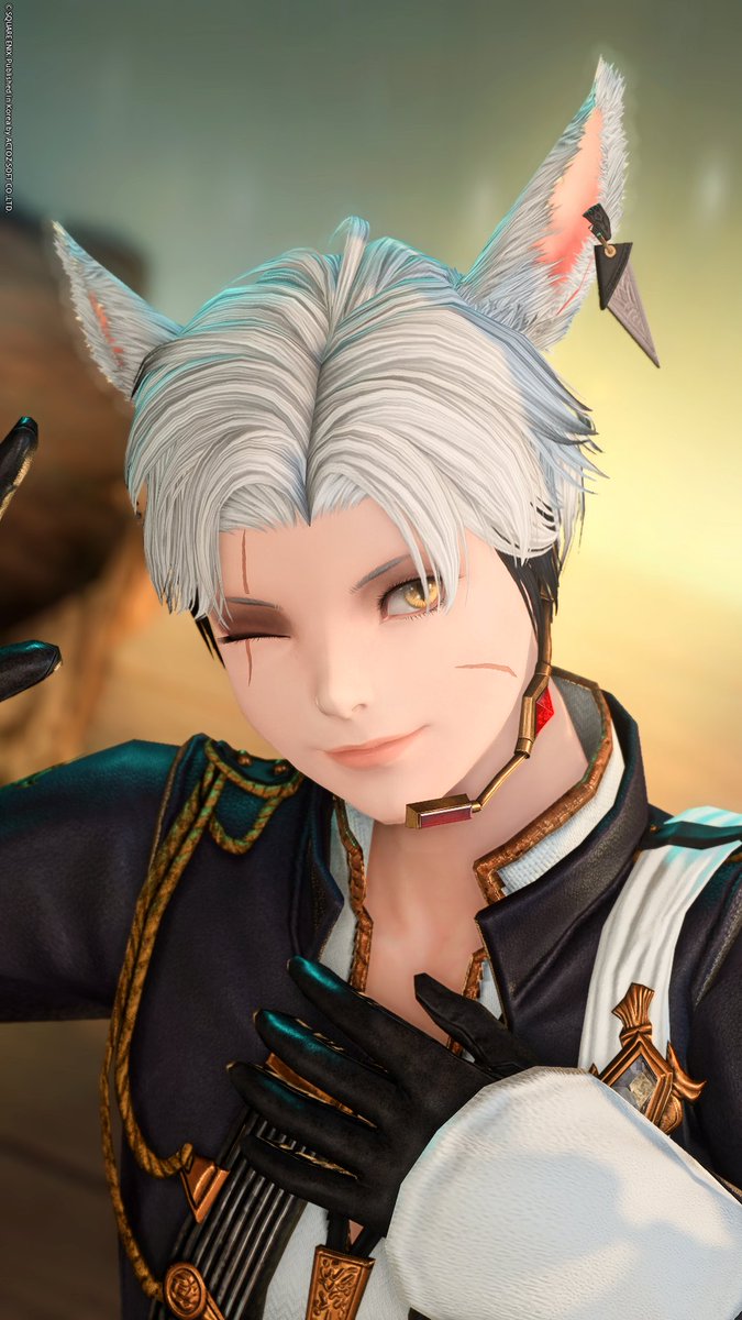 💛 고양이가 된 아이돌 단장도 등장!