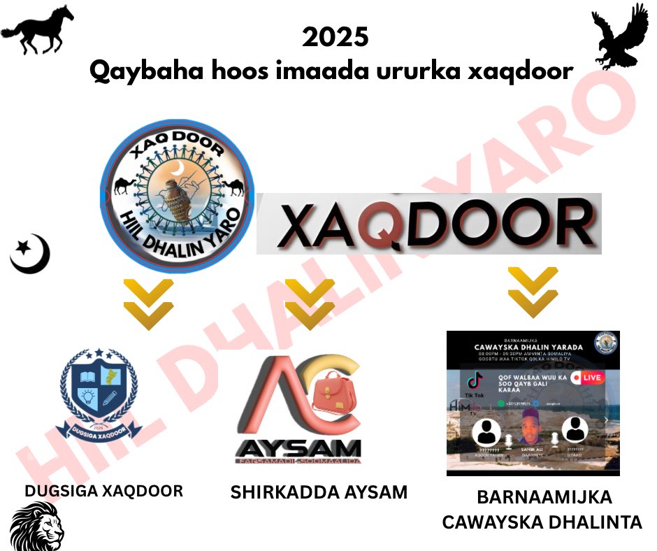 xaqdoor's tweet photo. Waan soconayna 📈 illa bartilmaameedkaayaga aan ka gaadhayno inshallah https://t.co/dMEevUk5jp