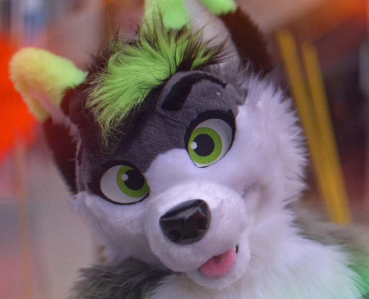 💚𝐅𝐢𝐫𝐞𝐟𝐥𝐲 𝐖𝐨𝐥𝐟𝐲~ 🔜AC tweet media