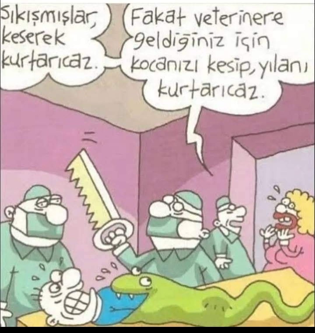 sseyyubi1187's tweet image. İTPERESTLERİN çocuklara, kadınlara, insanlara bakışı...
#başıboşköpekler toplansın