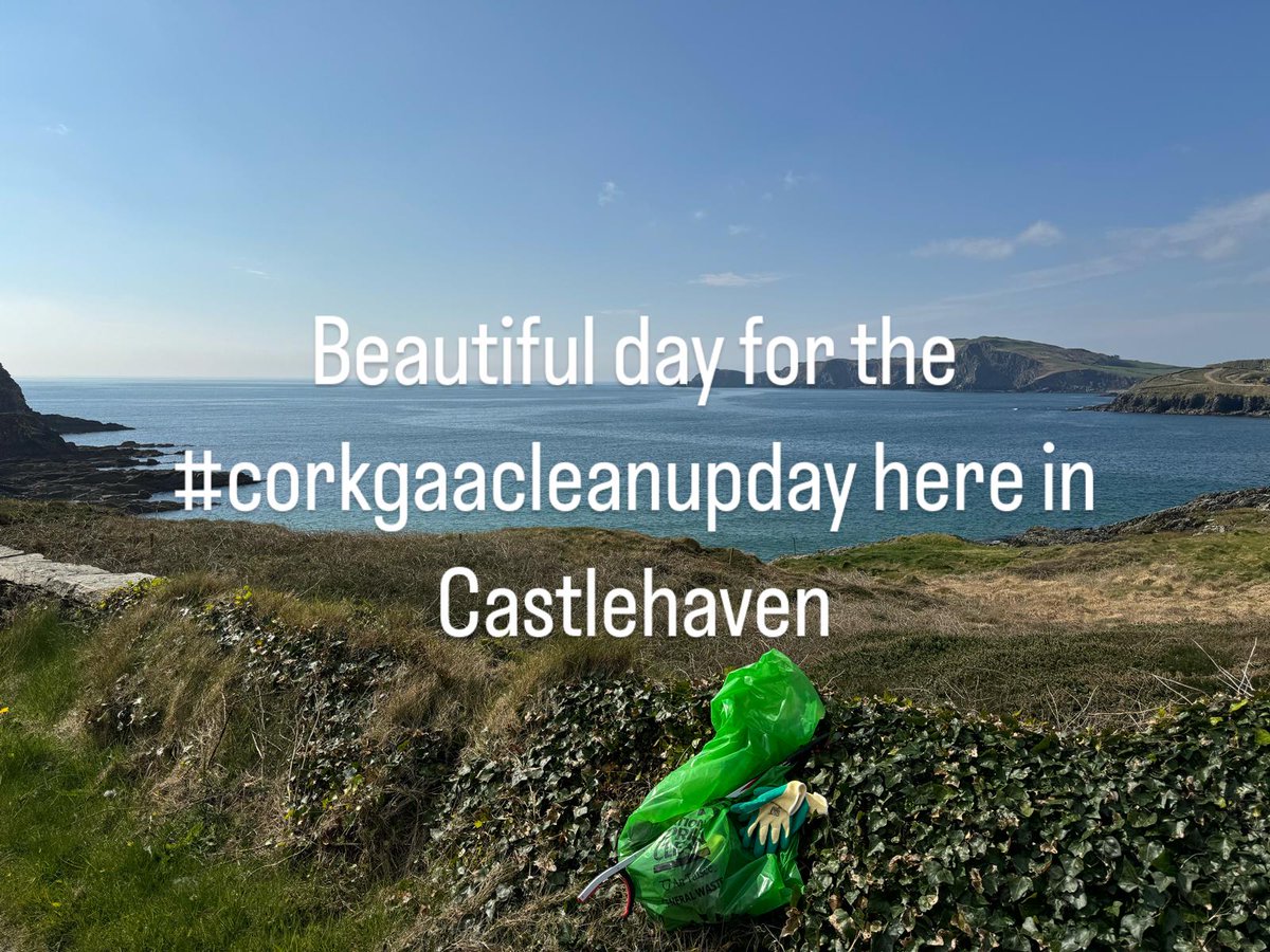 Castlehaven GAA tweet media