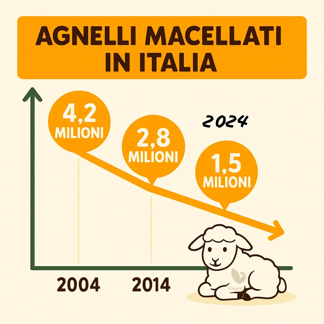 gianni_runco's tweet photo. Il mio sogno sarebbe - 0 - nel 2025. Go Vegan! #pasquavegan #govegan #AnimalRights #veganfood #veganism #veganlife #crueltyfree #Vegan #nomeat #vegano #plantbased #vegetables #animallovers #veganrevolution #veganworld #VeganRecipes #empatia #animalliberation #SaveTheLamb #veg https://t.co/pxwwyKj8wb