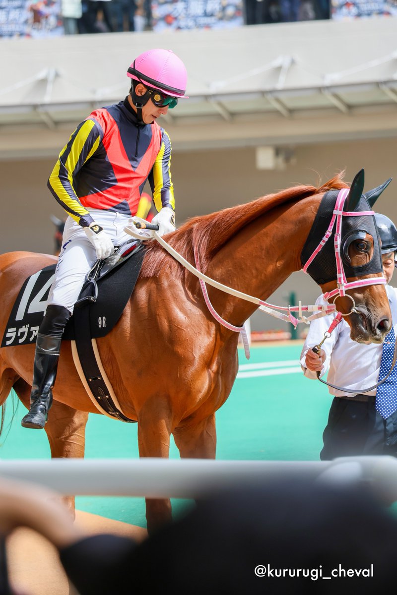 kururugi_cheval's tweet image. 2025.03.29 阪神9R 君子蘭賞

#メイショウピリカ &amp;amp; #武豊 騎手

#ラヴァブル &amp;amp; #幸英明 騎手