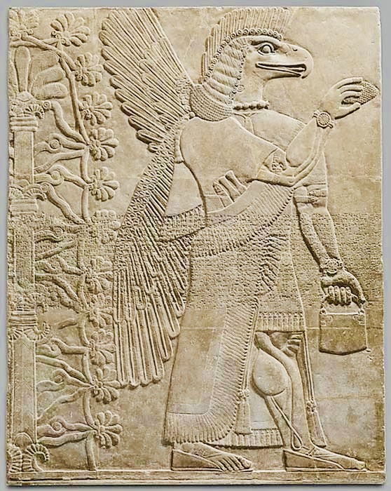 Malcolm Patten tweet media